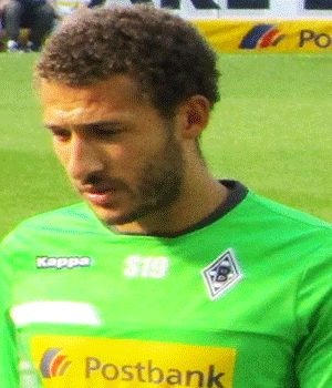 Fabian Johnson