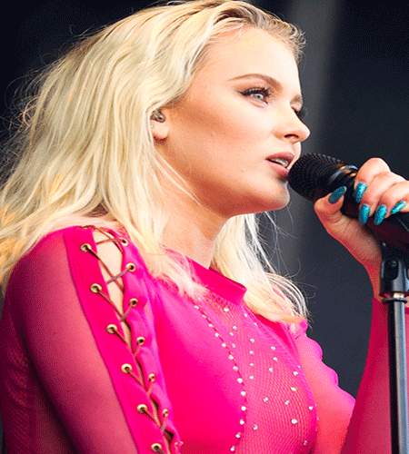 Zara Larsson Biography Height & Boyfriend