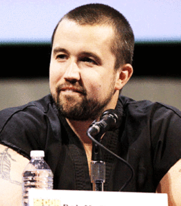 rob mcelhenney law and order